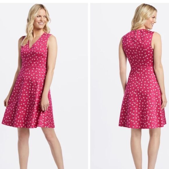 Draper James Dresses & Skirts - Draper James Cabernet Floral Love Circle Mini Dress Size 2 Pink Plunge V-Neck